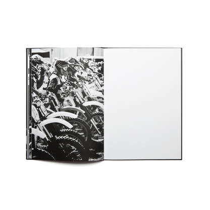 Book DANCING IN THE DUST