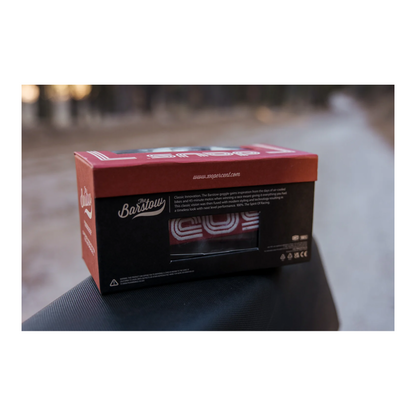 Motorcycle goggles BARSTOW, black